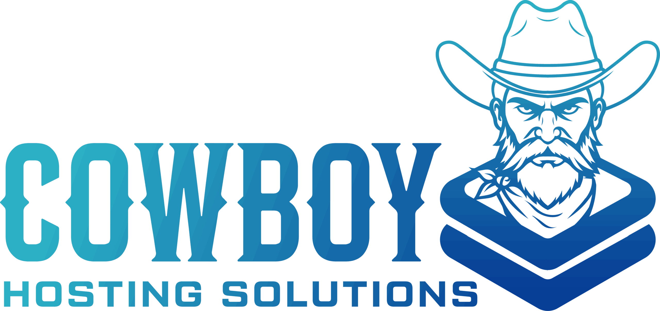 Cowboy Hosting Solutions LLC
